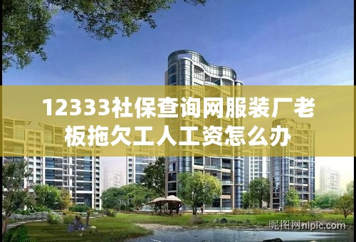 12333社保查询网服装厂老板拖欠工人工资怎么办