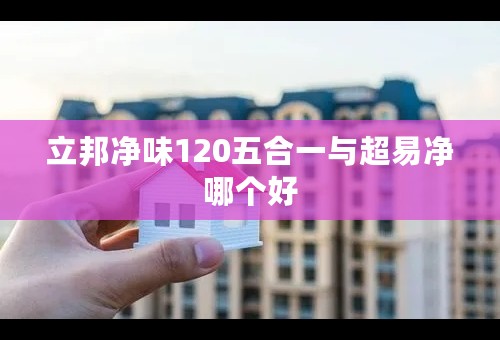 立邦净味120五合一与超易净哪个好