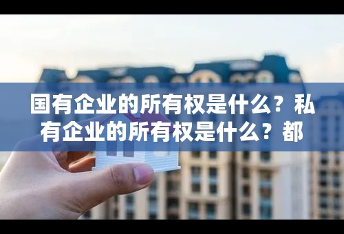 国有企业的所有权是什么？私有企业的所有权是什么？都是有限责任公司么？