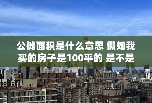 公摊面积是什么意思 假如我买的房子是100平的 是不是到时候我室内的面积肯定不足100平米啊