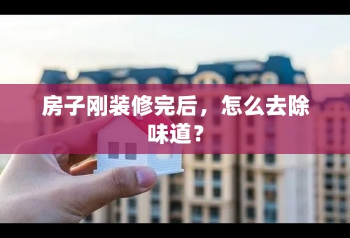 房子刚装修完后，怎么去除味道？