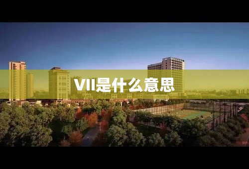 VII是什么意思