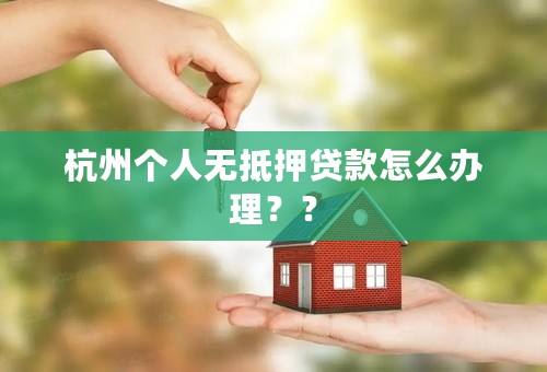 杭州个人无抵押贷款怎么办理？？