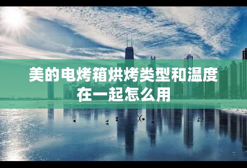 美的电烤箱烘烤类型和温度在一起怎么用