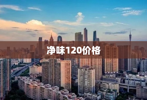 净味120价格