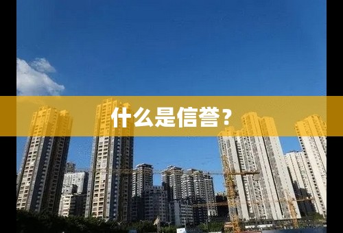 什么是信誉？