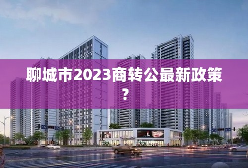 聊城市2023商转公最新政策？