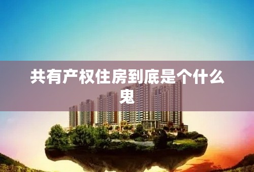 共有产权住房到底是个什么鬼