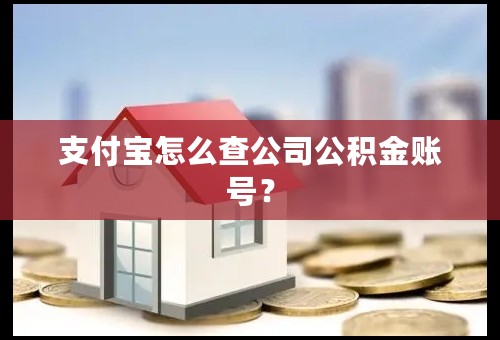 支付宝怎么查公司公积金账号？