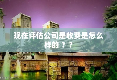 现在评估公司是收费是怎么样的 ？？