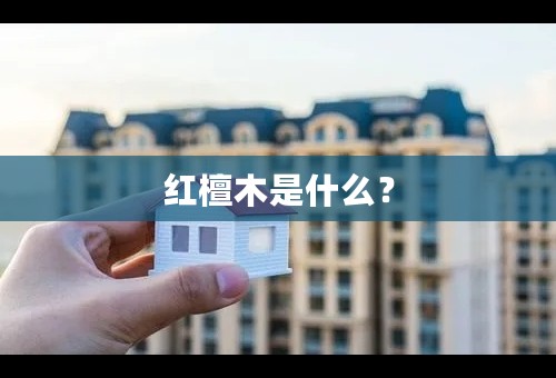 红檀木是什么？