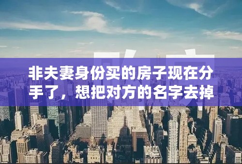 非夫妻身份买的房子现在分手了，想把对方的名字去掉，请问要办理怎样的手续？