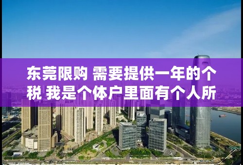 东莞限购 需要提供一年的个税 我是个体户里面有个人所得税 这样够买房资格吗