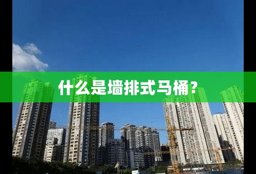 什么是墙排式马桶？