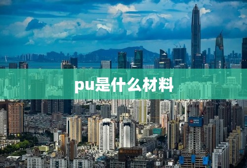 pu是什么材料