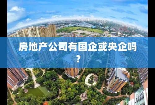 房地产公司有国企或央企吗？