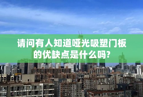 请问有人知道哑光吸塑门板的优缺点是什么吗?