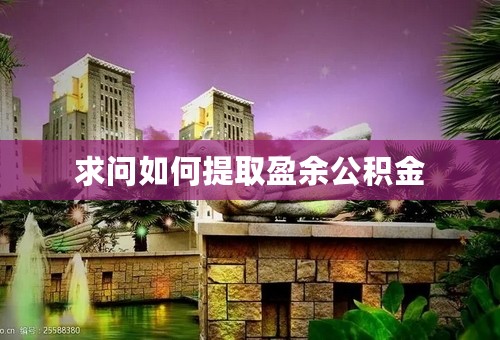 求问如何提取盈余公积金