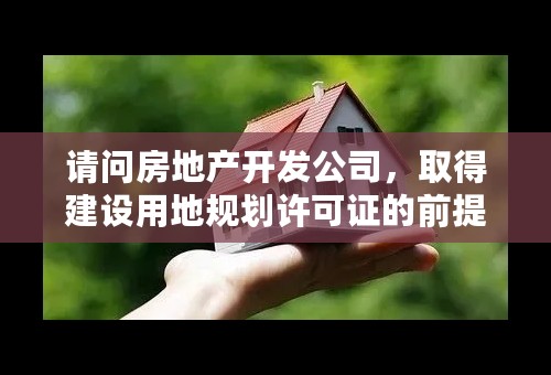 请问房地产开发公司，取得建设用地规划许可证的前提条件是哪些？请有关业内人士详答，谢谢