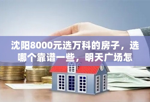 沈阳8000元选万科的房子，选哪个靠谱一些，明天广场怎么样？