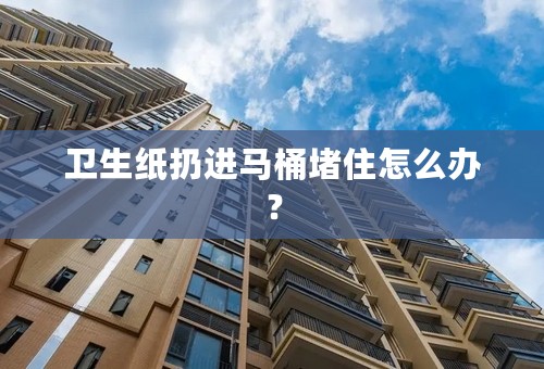 卫生纸扔进马桶堵住怎么办？