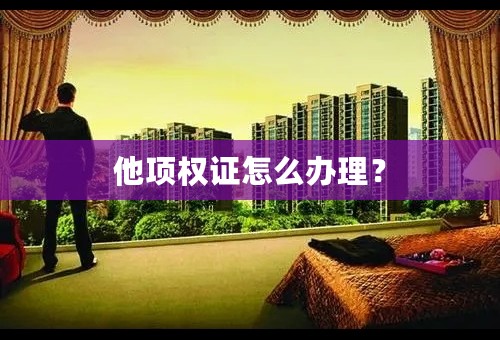 他项权证怎么办理？