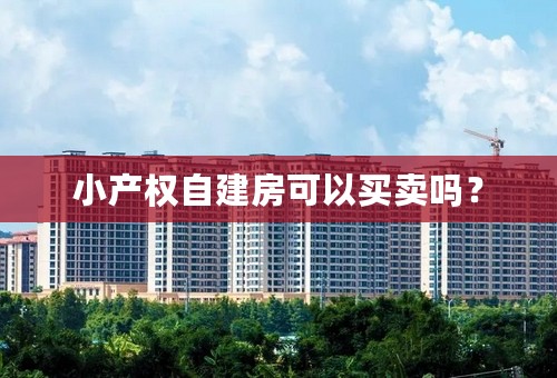 小产权自建房可以买卖吗？