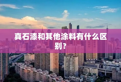 真石漆和其他涂料有什么区别？