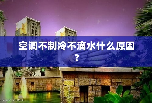 空调不制冷不滴水什么原因？