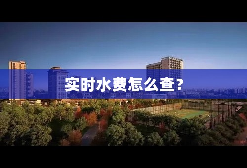 实时水费怎么查？