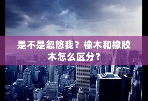 是不是忽悠我？橡木和橡胶木怎么区分？