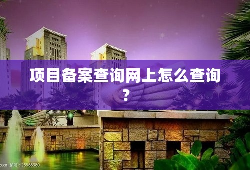 项目备案查询网上怎么查询？