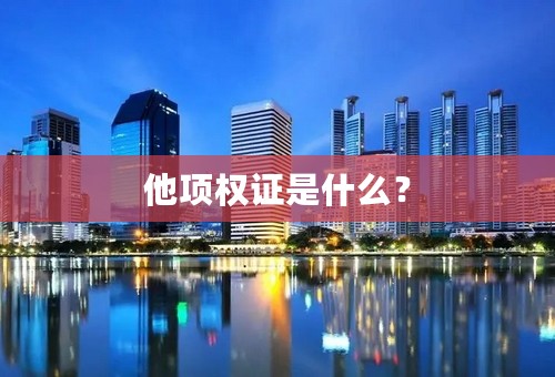 他项权证是什么？