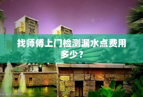 找师傅上门检测漏水点费用多少？