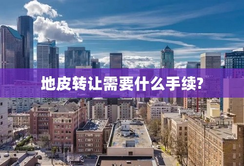 地皮转让需要什么手续?