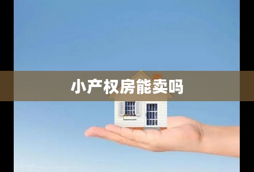 小产权房能卖吗