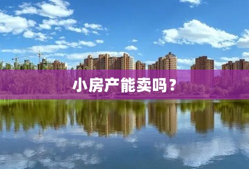 小房产能卖吗？