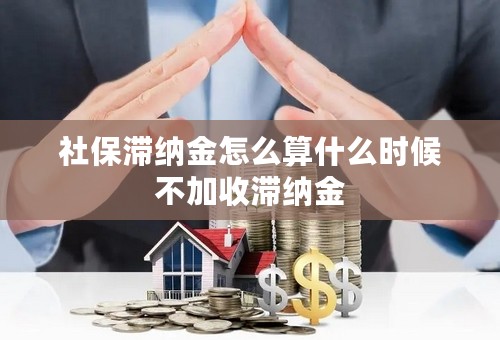 社保滞纳金怎么算什么时候不加收滞纳金