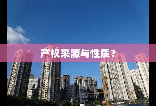 产权来源与性质？