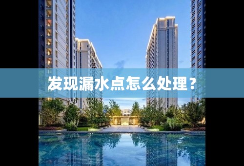 发现漏水点怎么处理？