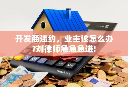 开发商违约，业主该怎么办?刘律师急急急进!