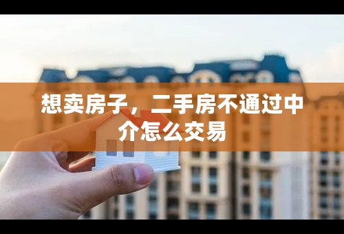 想卖房子，二手房不通过中介怎么交易