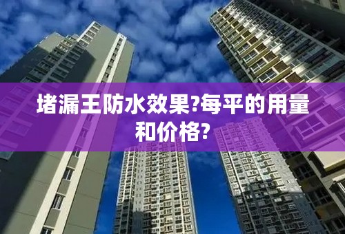 堵漏王防水效果?每平的用量和价格?