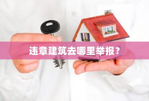 违章建筑去哪里举报？