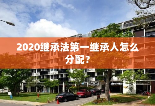 2020继承法第一继承人怎么分配？