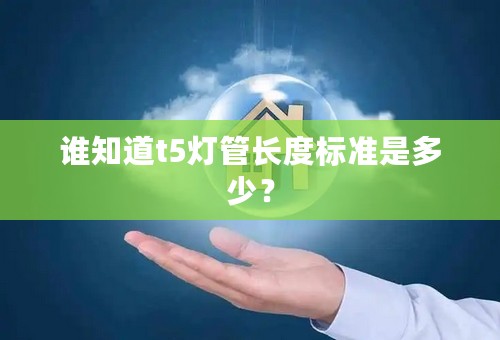 谁知道t5灯管长度标准是多少？