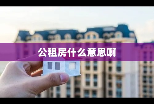 公租房什么意思啊