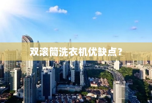 双滚筒洗衣机优缺点？