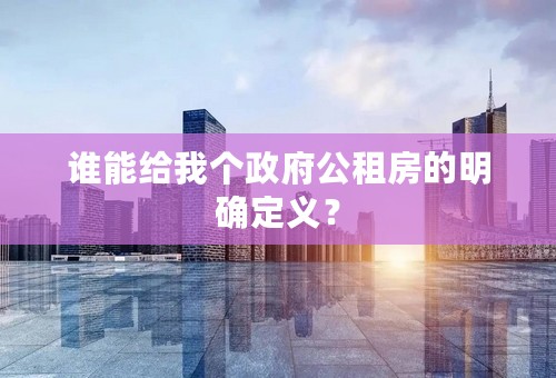 谁能给我个政府公租房的明确定义？