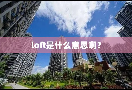 loft是什么意思啊？